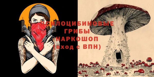 метамфетамин Бердск