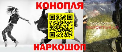 трава Бийск