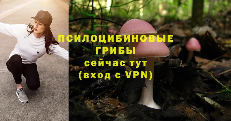 Галлюциногенные грибы Psilocybe  дарнет шоп  Железноводск 