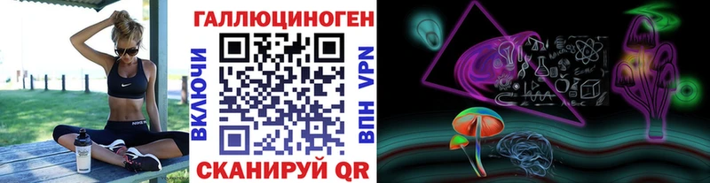 Галлюциногенные грибы Psilocybine cubensis  Железноводск 