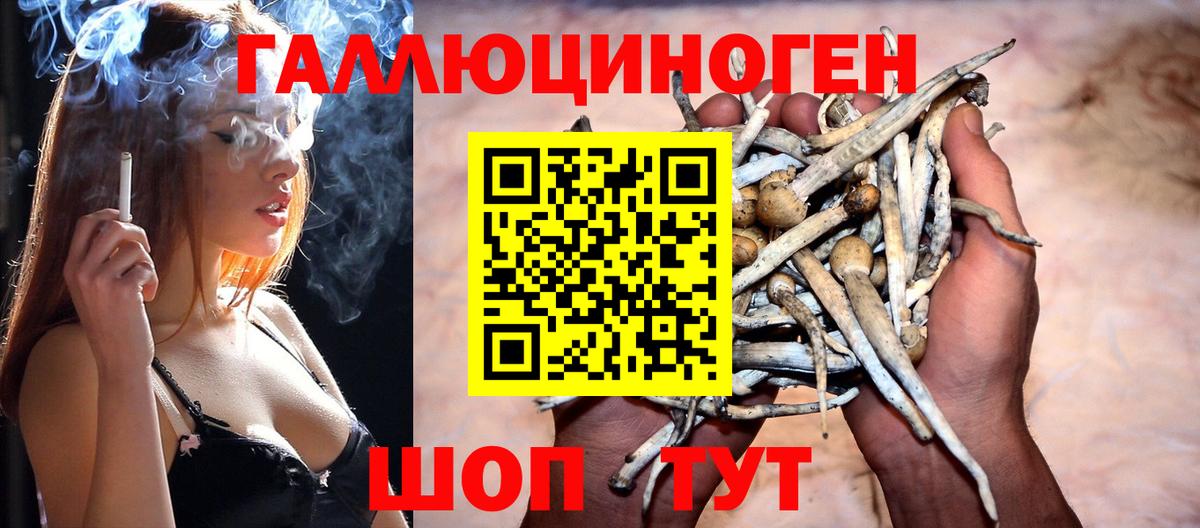 Галлюциногенные грибы прущие грибы  Псилоцибиновые грибы Psilocybine cubensis  Железноводск  Вход с VPN 