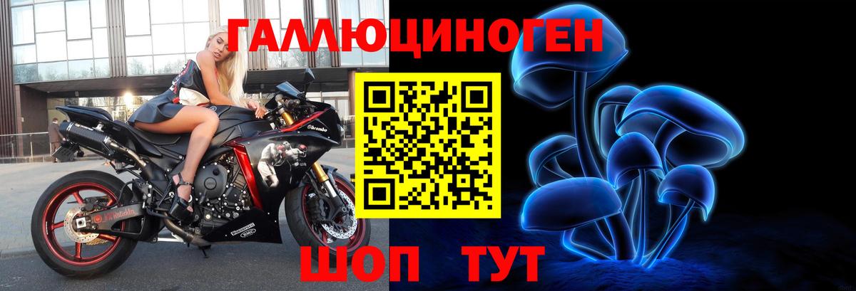 Псилоцибиновые грибы Cubensis Железноводск